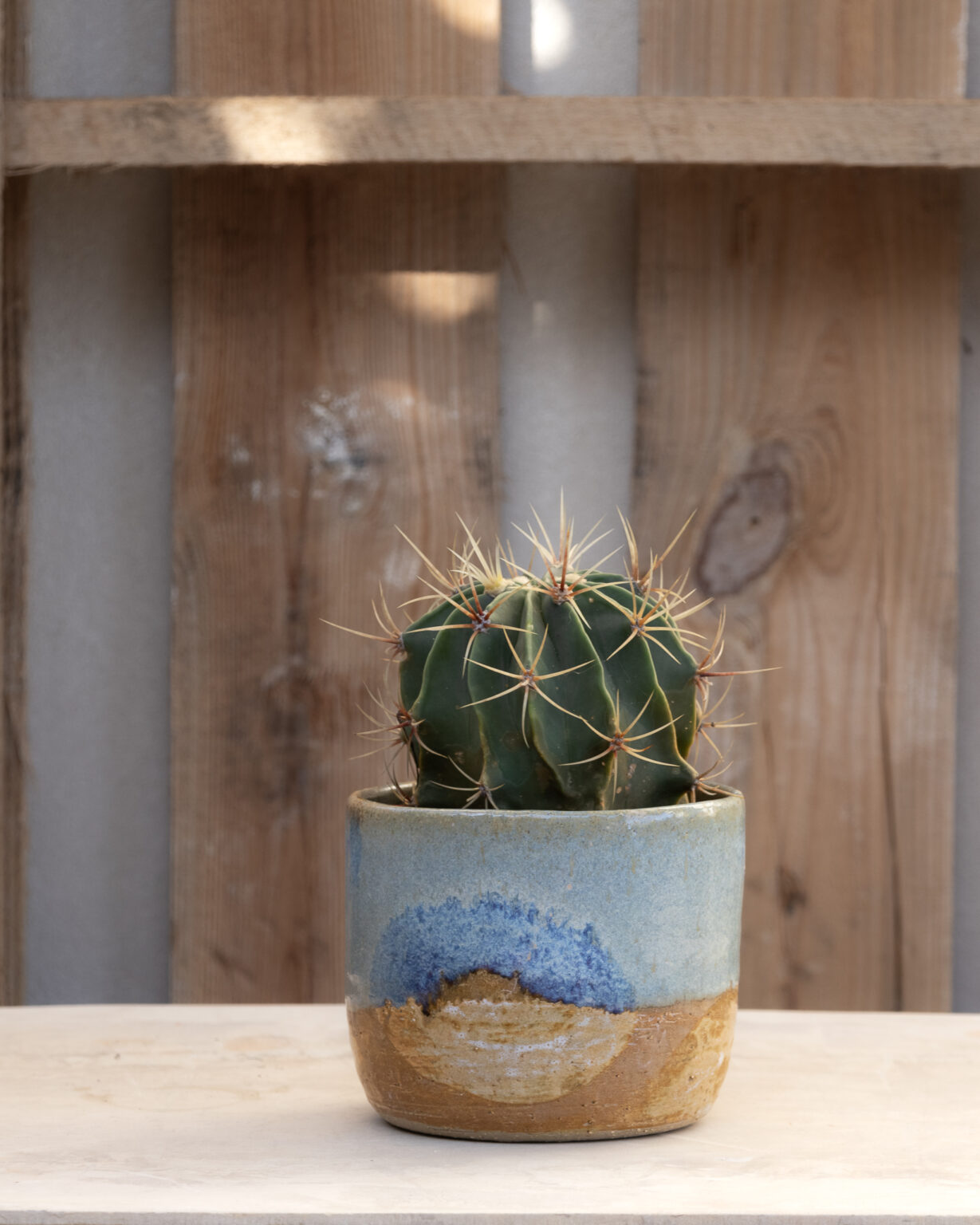 Indoor Planter, Moon Planter, Cacti Planter