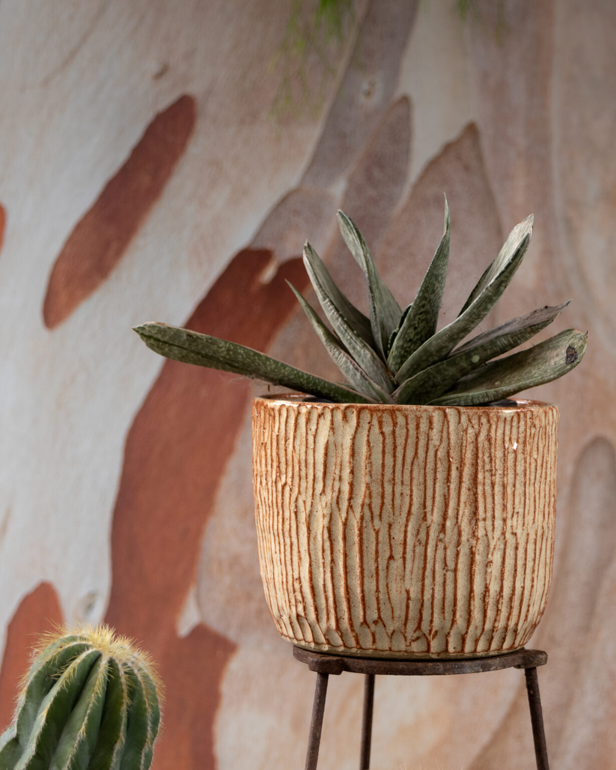 Folk Art Glaze on med-large planter