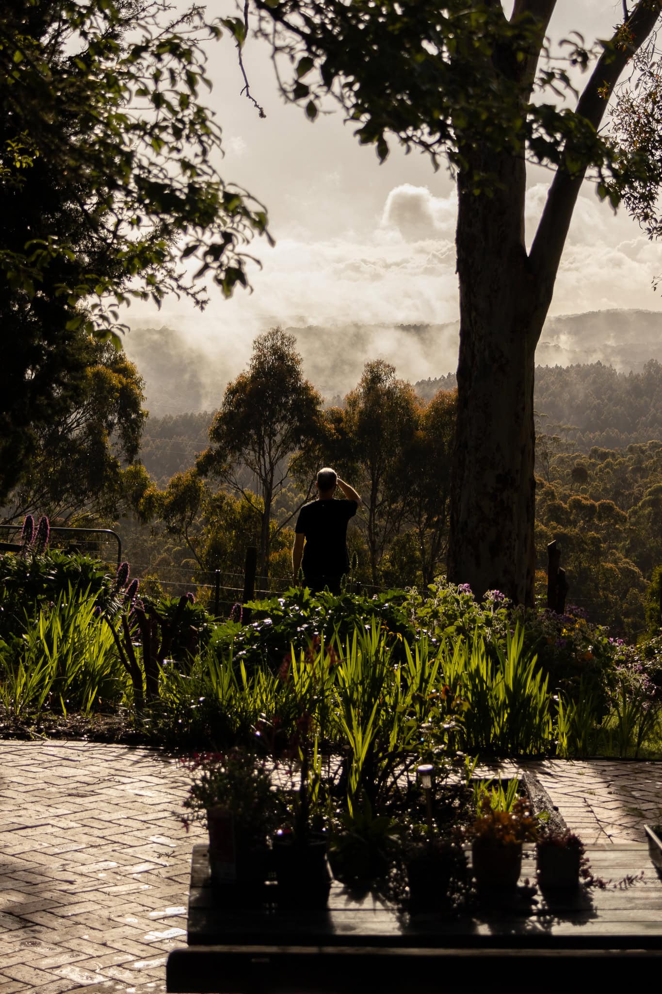 The Valley