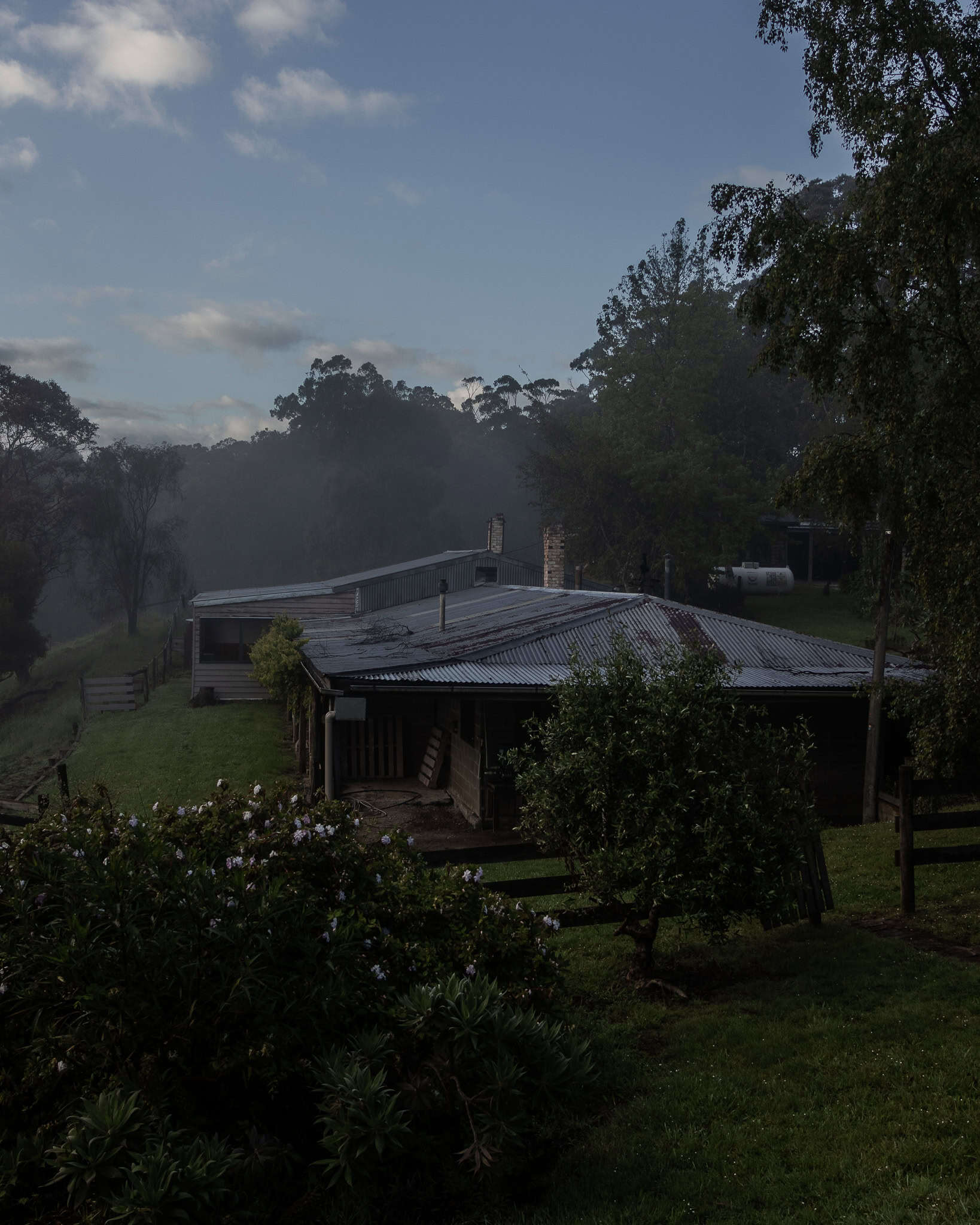 Gellibrand Pottery Studio in the otways, the mist