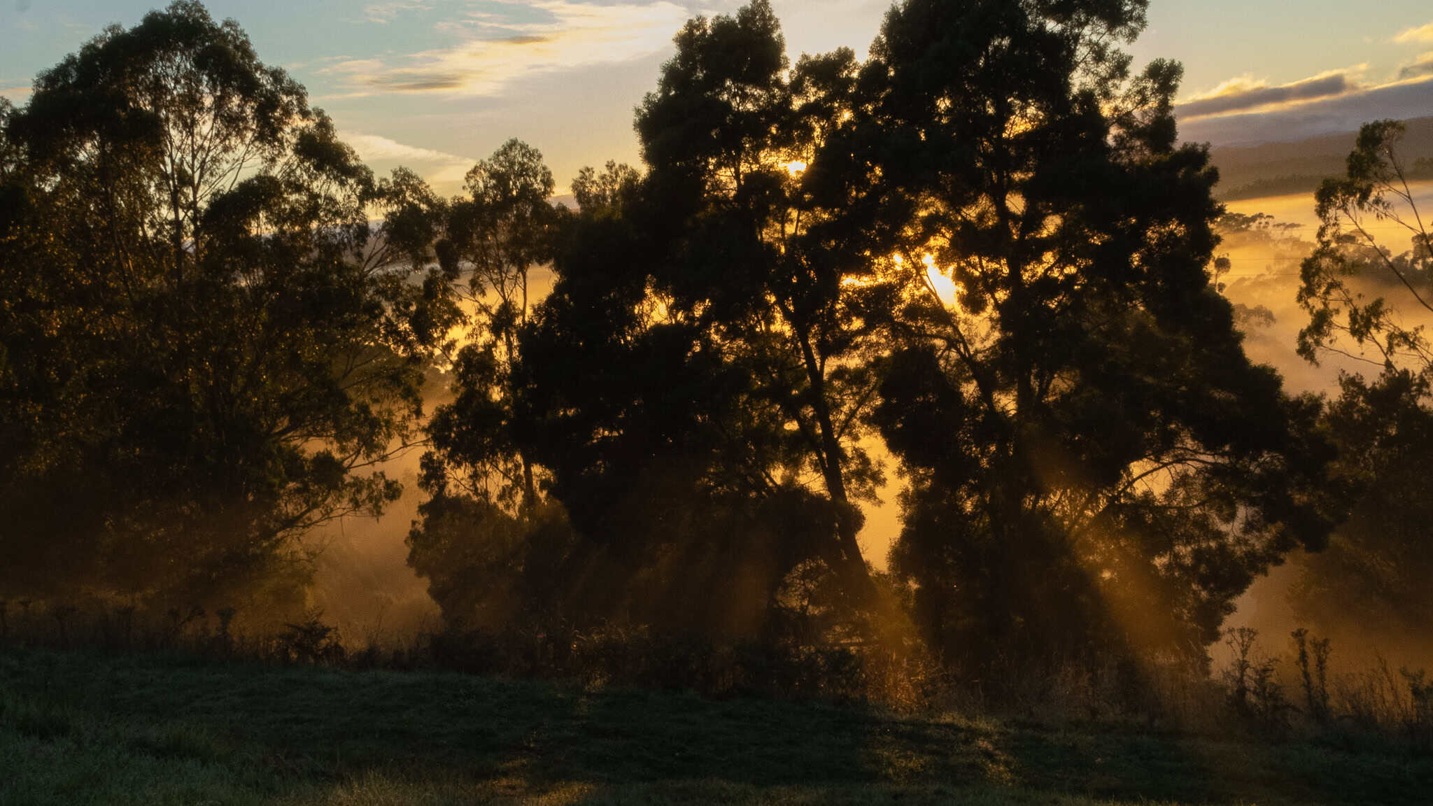 Sunrise in the valley at Gellibrand Pottery