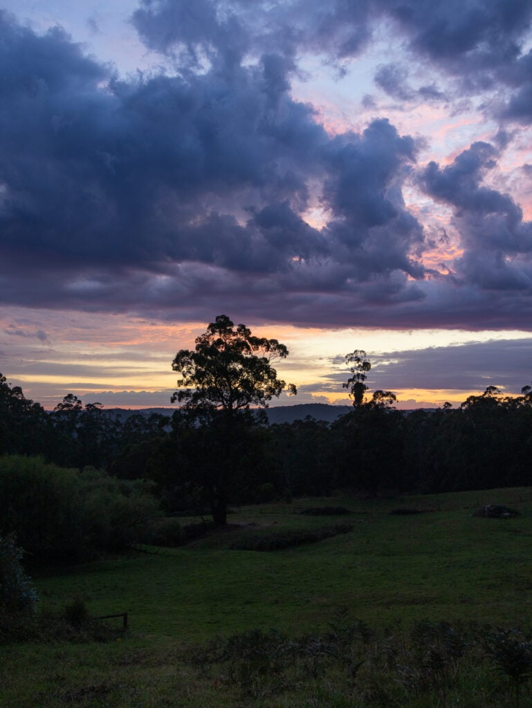Sunrise view in the valley at Gellibrand Pottery
