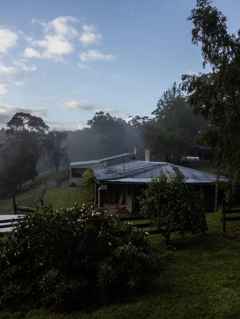 The studio in the mist at Gellibrand Potteruy