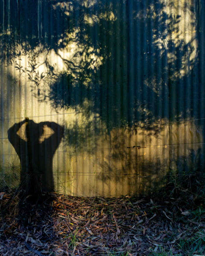 Allison’s reflection on shed at Gellibrand Pottery